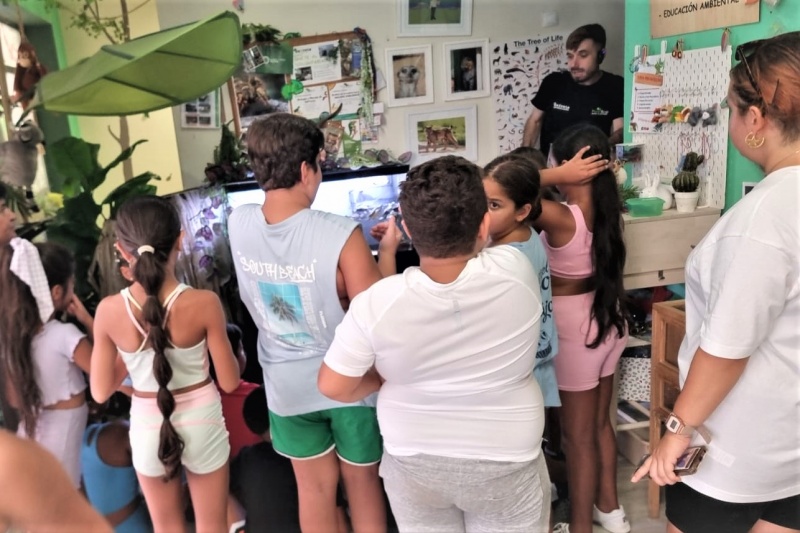 Programa Desarrollo Gitano