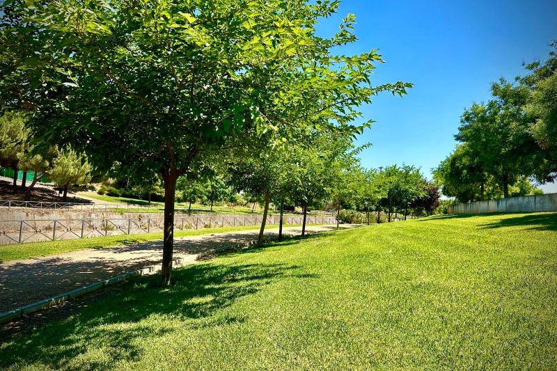 Arroyos Rivilla y Calam�n en Badajoz