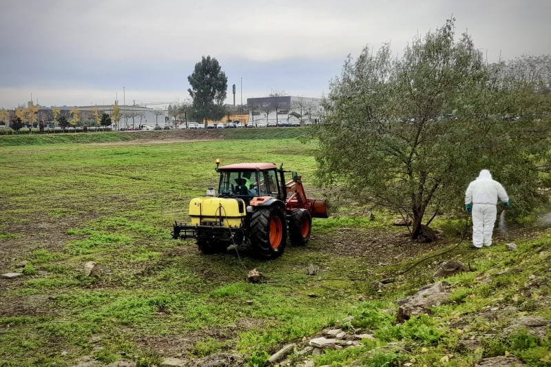 Desbroce de solares en Badajoz
