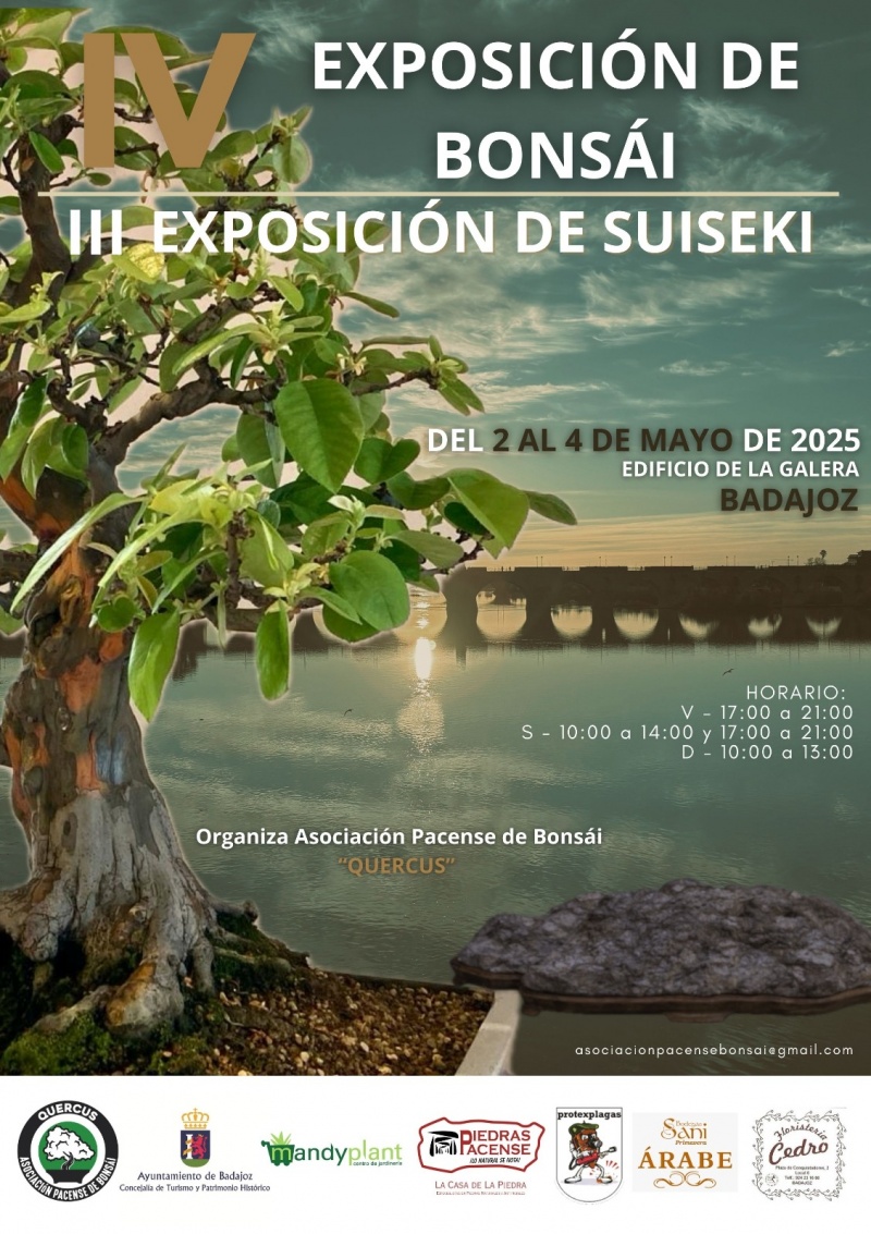 Exposicion Bonsai en la Galera 2025